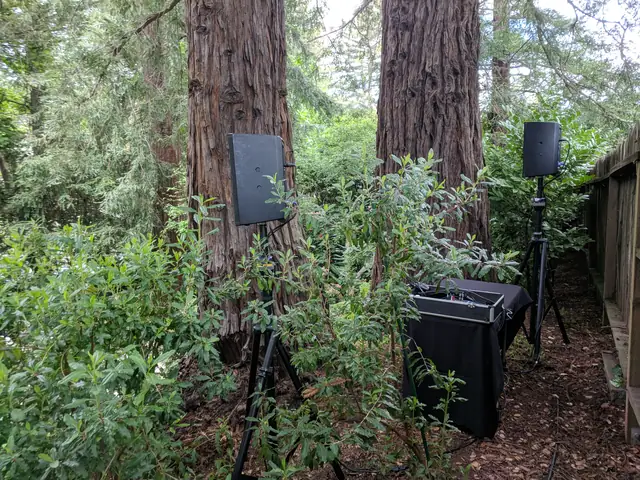 Wayne Noel's ceremony speakers and audio table set up among the redwoods at the Mill Valley Outdoor Art Club