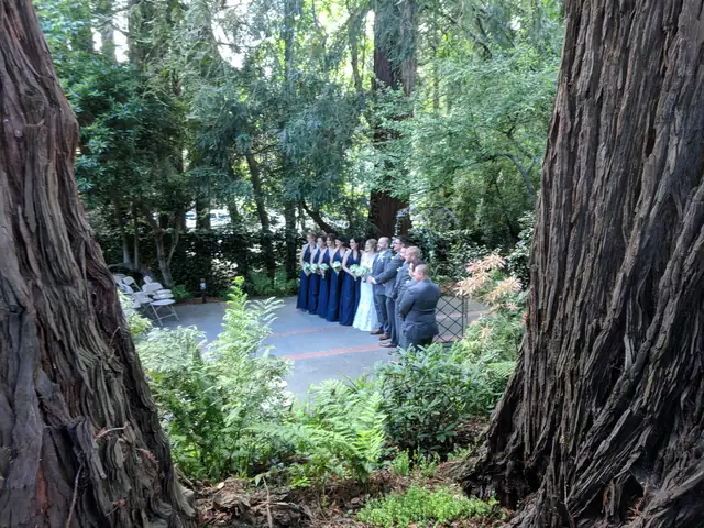 Wedding party gathered on the garden patio at the Mill Valley Outdoor Art Club, seen between two redwood trunks