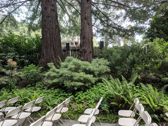 Redwood-shaded ceremony garden at the Mill Valley Outdoor Art Club with white folding chairs and two speakers set up by the fence