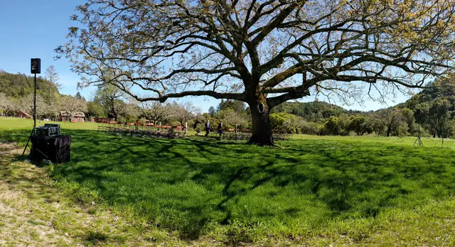 Ceremony lawn at Triple S Ranch with chairs set beneath a large tree and sound equipment at the edge of the meadow