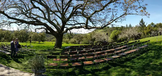 Rows of wooden chairs set for a wedding ceremony under the large tree at Triple S Ranch in Calistoga, with speakers on stands either side of the tree